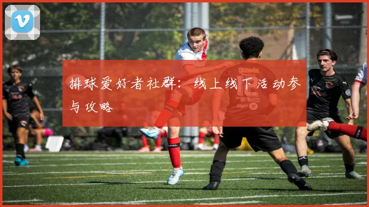 排球爱好者社群：线上线下活动参与攻略