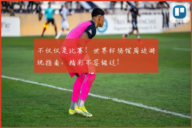 不仅仅是比赛！世界杯场馆周边游玩指南，精彩不容错过！