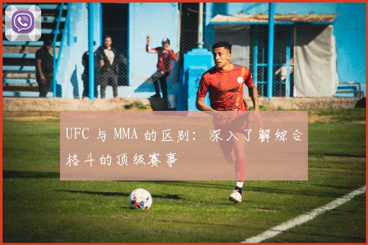 UFC 与 MMA 的区别：深入了解综合格斗的顶级赛事