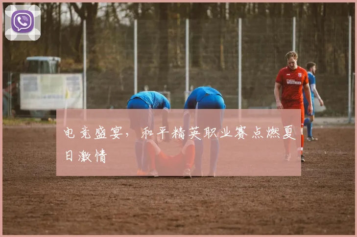 电竞盛宴,和平精英职业赛点燃夏日激情